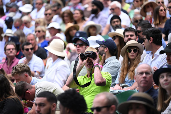 wimbleton stands