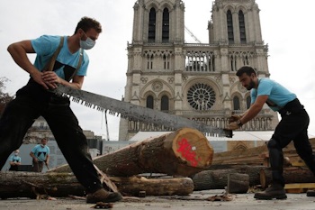 Carpenters with a saw