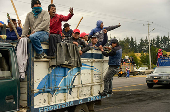 trucks of indigenous