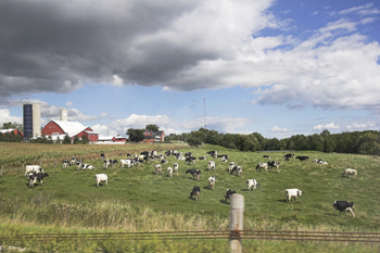 dairy farm