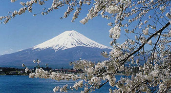 mount fuji