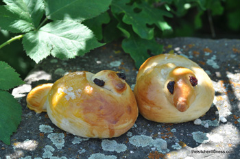 birds bread