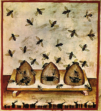 bees