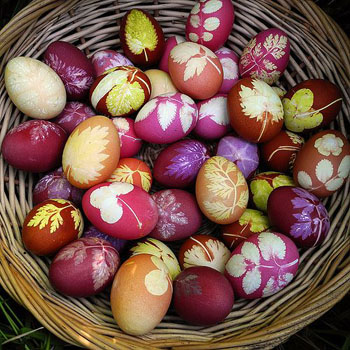 easter eggs flower and dye