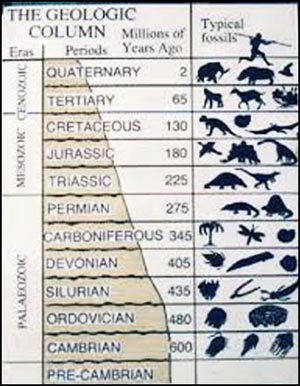 Lyell geological column