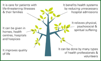 WHO push for palliative care