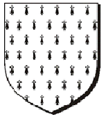 A heraldic ermine fur field on a shield